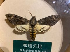 -陕西自然博物馆