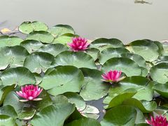 -终南山南五台景区