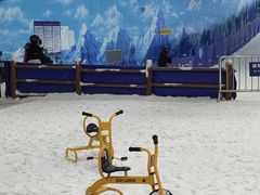 -世界之窗阿尔卑斯冰雪世界