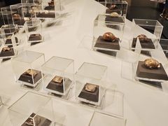 -北京周口店北京人遗址博物馆
