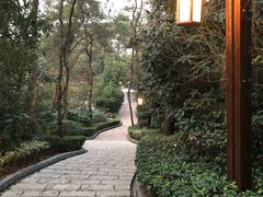 -天目湖涵田半山温泉