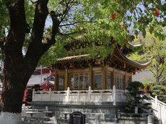 -上海东林寺(金山区)