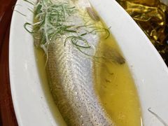 鸡汁蒸太湖白鱼-金枝玉叶上海人家食府(三里河店)
