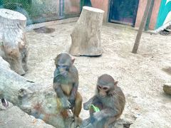 -水上乐园·欢乐世界