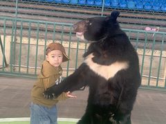 -东方熊牧场