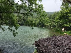 -紫霞湖公园