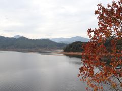 -东白山