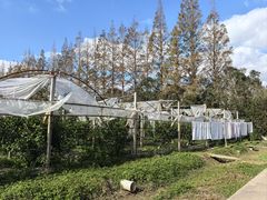 -前小桔亲子创意农场·草莓采摘·露营烧烤