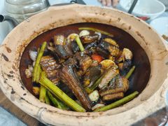 生啫金边花鳝-天宝食坊·啫啫煲大排档(西华路店)