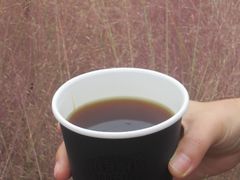 -Punchline Coffee&Roaster(同济大学店)