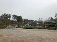 -黄龙溪欢乐田园
