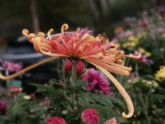 -共青国家森林公园-售票处