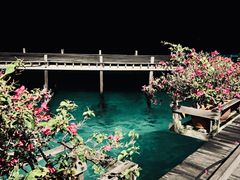 -卡帕莱度假村(西巴丹岛)