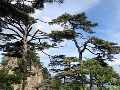 -黄山风景区