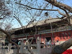 -红螺寺