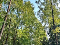 -苏州河梦清园环保主题公园