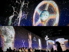 -遇见博物馆(遇见海洋沉浸式奇幻光影展)