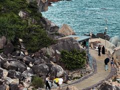 -广东惠东海龟国家级自然保护区
