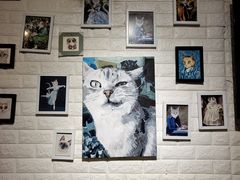 -平行世界·猫咖(首经贸店)