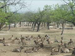 -西安秦岭野生动物园