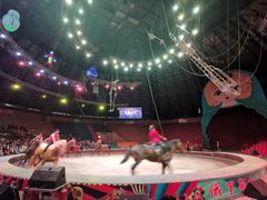 -俄罗斯国家大马戏团