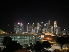 -新加坡文华东方酒店