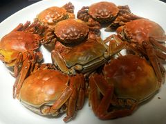 -巴陵全鱼席(湖南老字号汴河街店 )