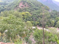 -齐王寨景区