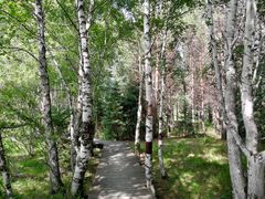 -塞罕坝国家级自然保护区