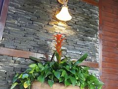 -芭东小镇温泉