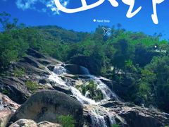 -海南霸王岭国家森林公园