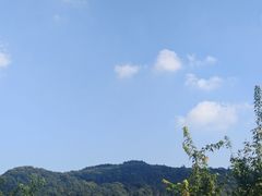 -亲子百果农庄