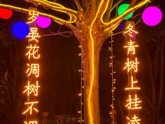 -芜湖方特东方神画