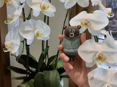 -Peet's Coffee皮爷咖啡(豫园店)