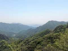 -大岭沟猕猴桃谷风景区