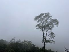 -广州市帽峰山景区