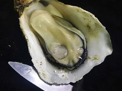 阳江炊蚝-大富蚝乌东哥饭店·石锅鱼杂·柠檬鸭(革新路店)