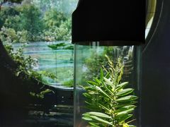 -中国湿地博物馆