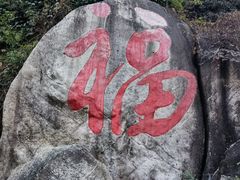 -阳台山森林公园