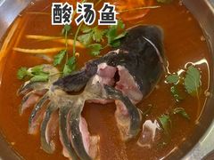 -芦苇荡·酸汤鱼(回龙观店)