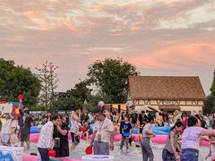 -祥源·阜阳生态乐园