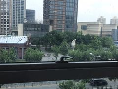 -蕃茄田艺术(普陀长风大悦城中心)