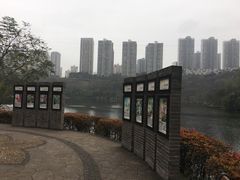 -重庆彩云湖湿地公园