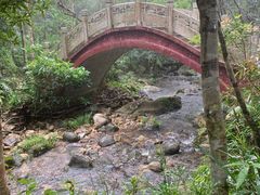 -海南热带雨林国家公园吊罗山景区