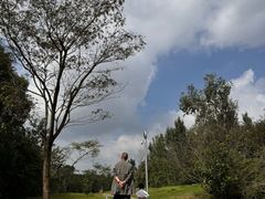 -白鹭湾湿地公园