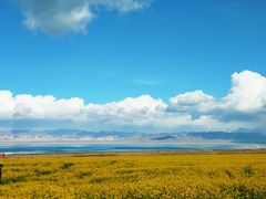 -青海湖国家重点风景名胜区