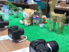 -sundanpulse顺电·脉(海岸城购物中心店)