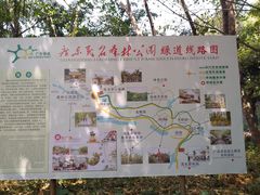 -广东茂名森林公园