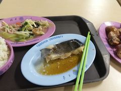 -清华大学-清芬园