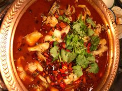 老坛酸菜美蛙鱼-沪小二炭火蛙锅(淮海中路美食不夜城店)